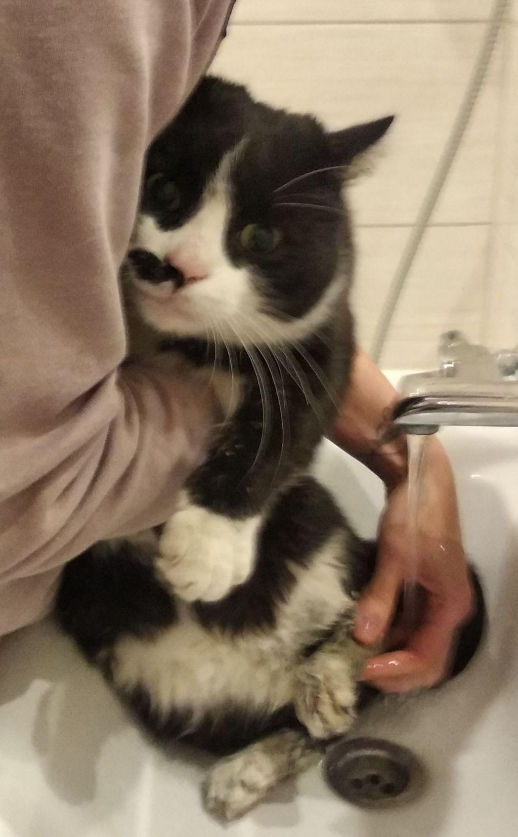 72f9d73b-b85f-42dc-ad23-31fa1647b81b