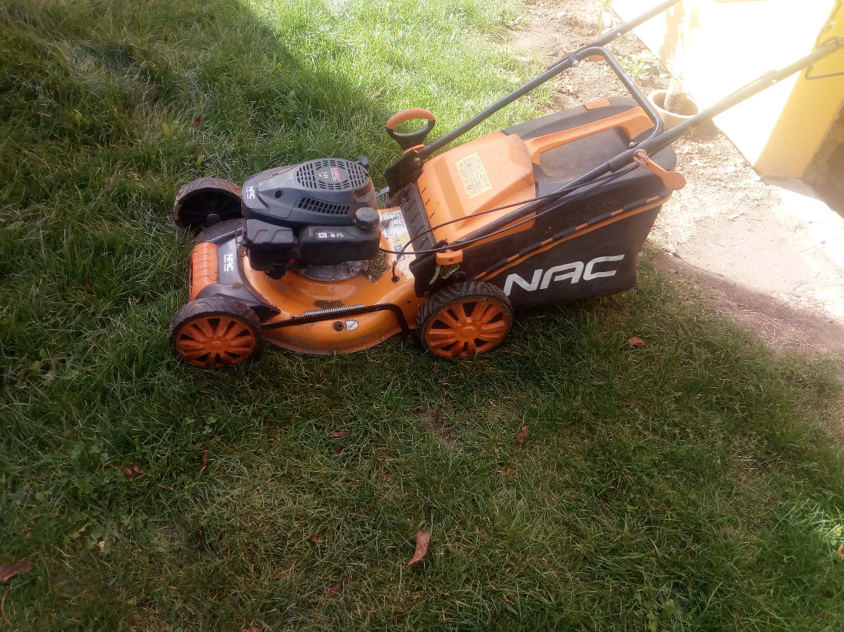 a7738cc6-2558-40c4-b941-154283cc880b