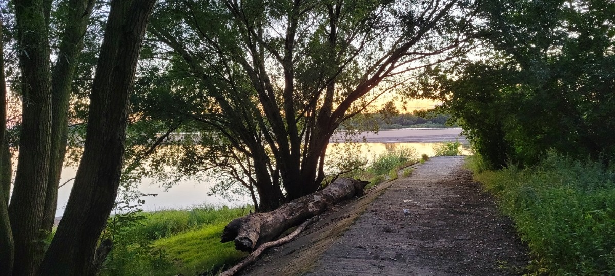 e42947b9-a717-4729-b2cb-e7a1aac90019