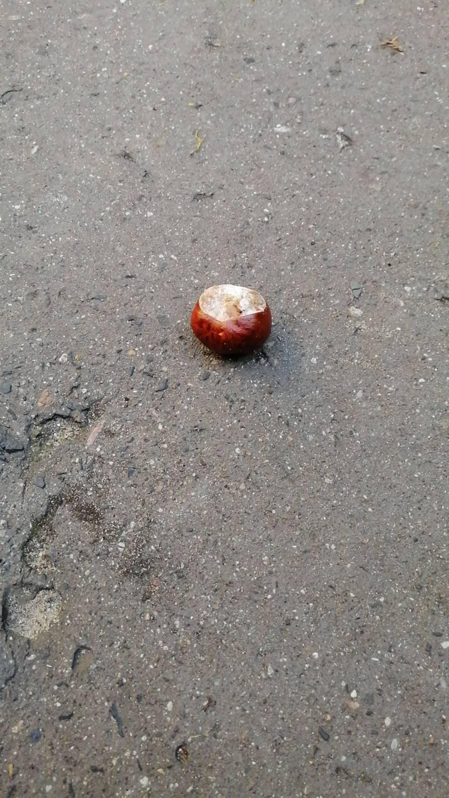 4634c15e-197d-499d-9304-c5413efa2060