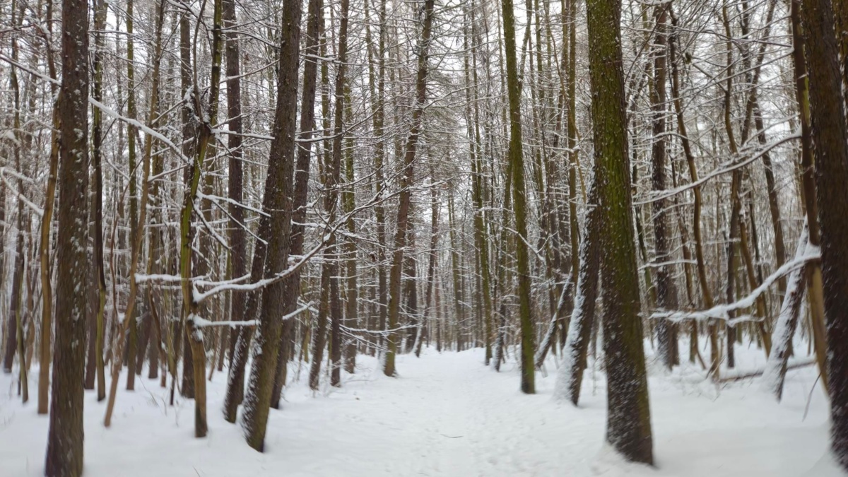 d2b9bbc0-2742-4ee7-a653-94fbb32dbb74