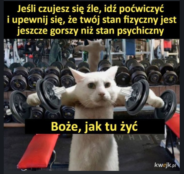 e050a7bd-5bb5-43e1-a876-dd3f8d7e3470