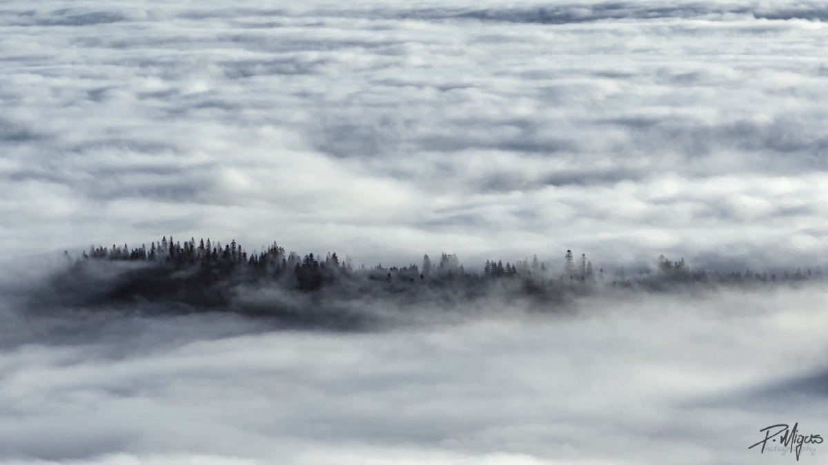 0935e548-ae89-4200-91cb-9e0edf18df93