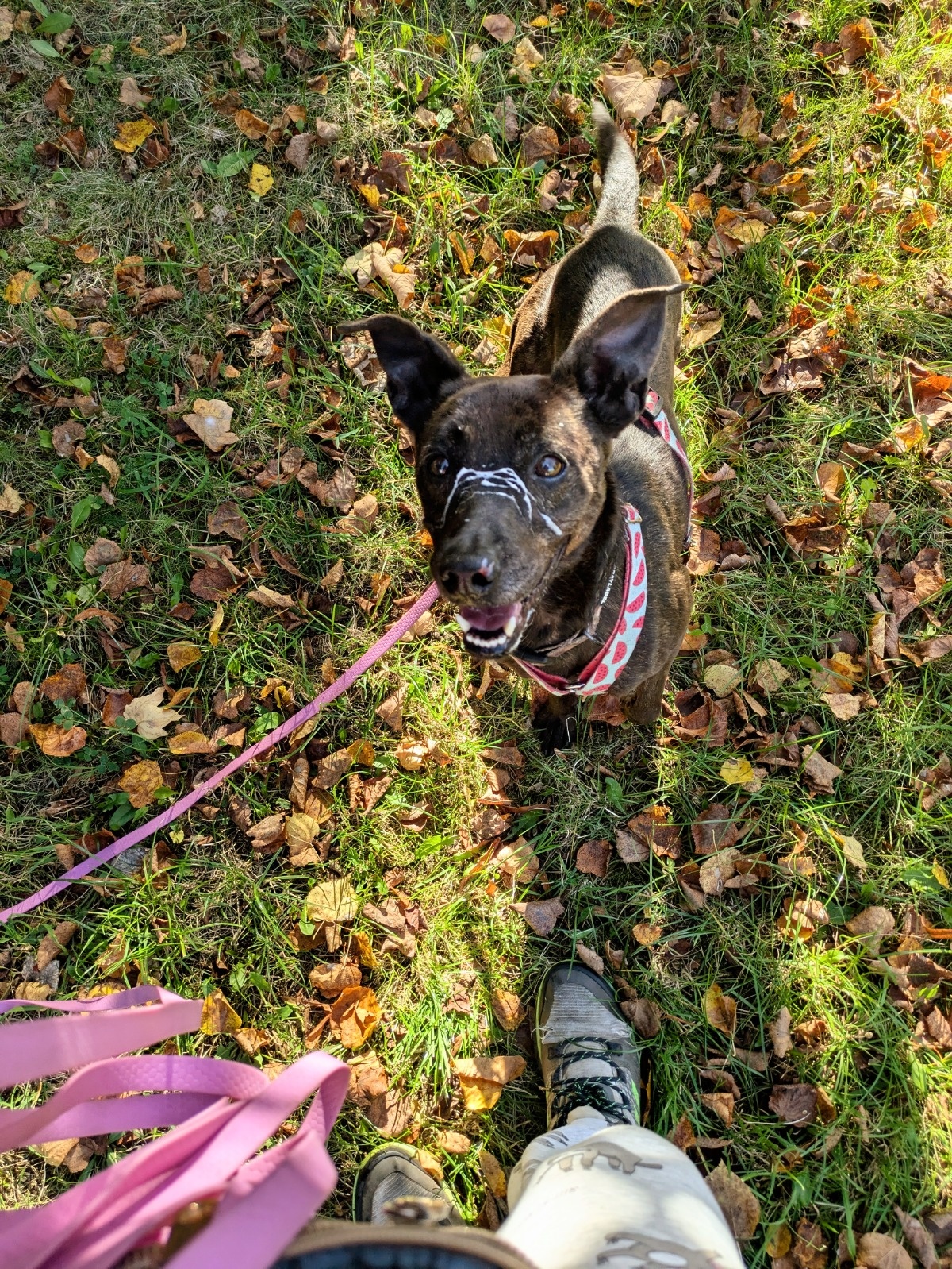 daa4cdf1-6377-48e8-81f9-4d1fcc745714