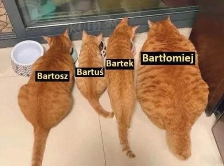 6052d095-8c2d-4c1b-9225-e931eeaed21f