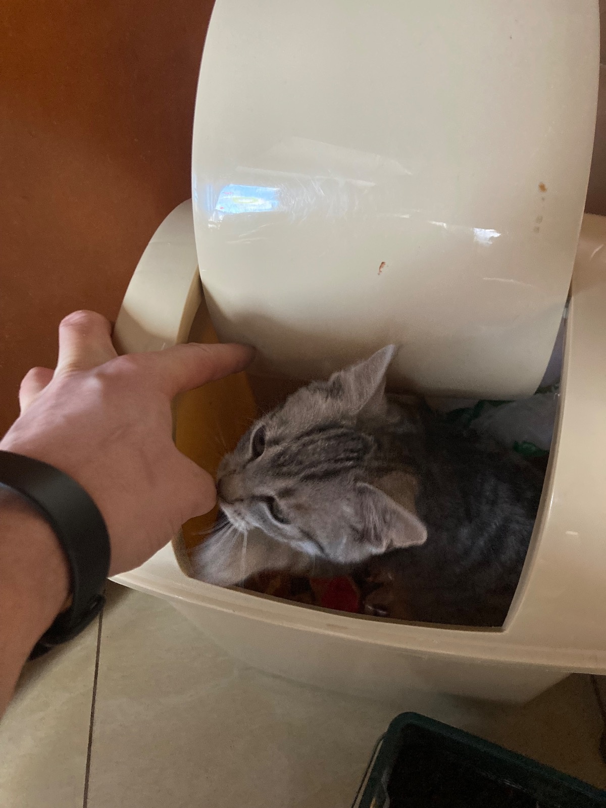 6e46f07e-06b2-4ee4-9dd9-e6237a667b8a