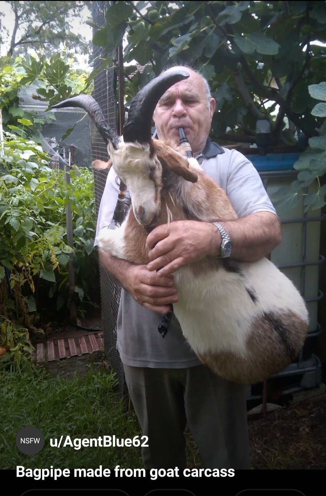 c6c768c5-caa4-44b6-bc62-5bed649e5cd5