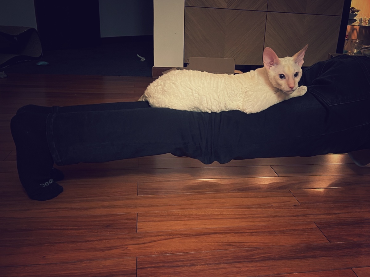 ae69ef62-0eaf-4270-97c1-0f738718c485