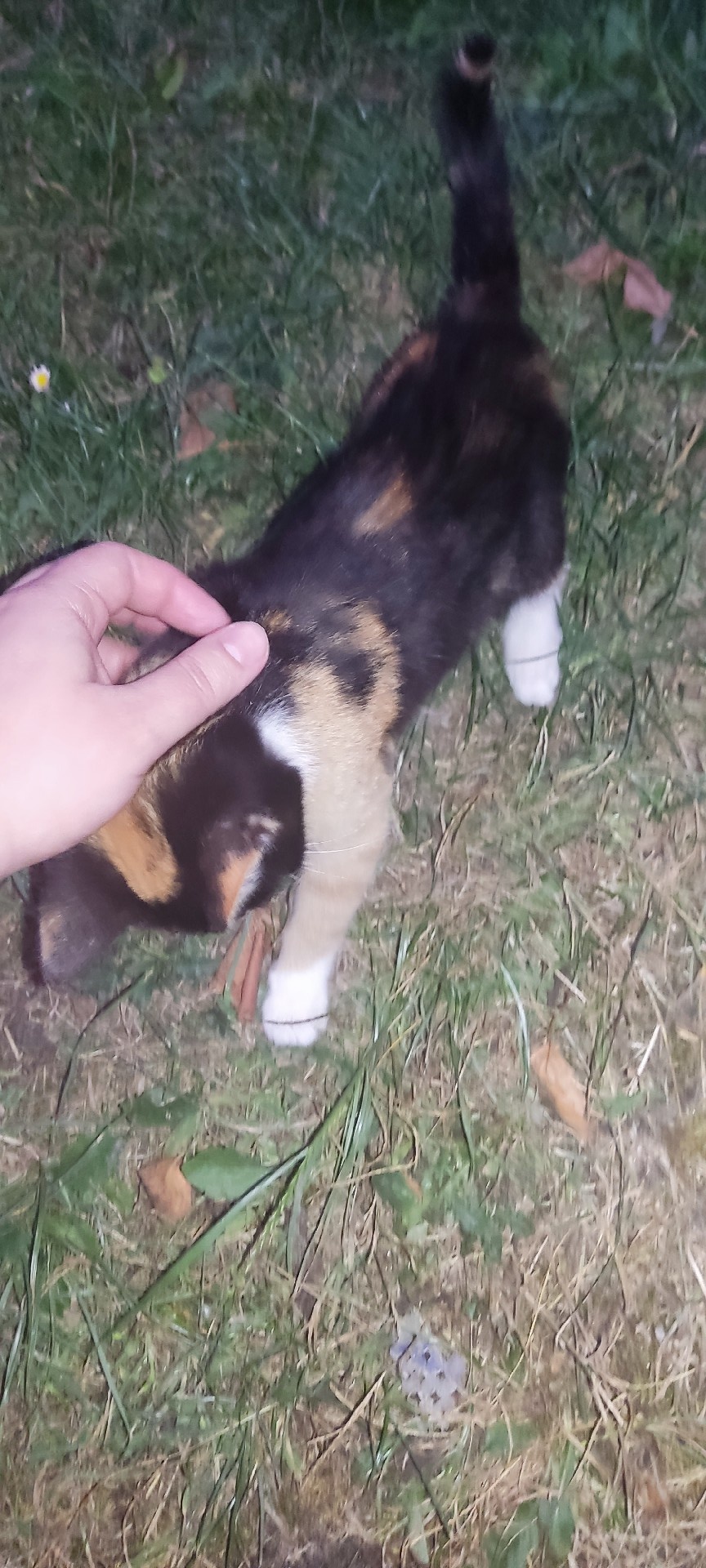 54a61331-9fe4-416f-b595-2d3b24f8c9fd