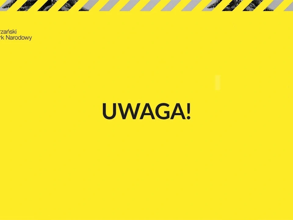 Tatry - zamknięta droga do Morskiego Oka