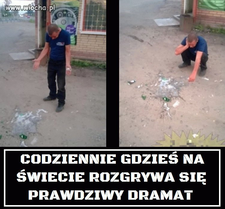 bd50c519-7186-4af7-913a-8d3db42ecc45