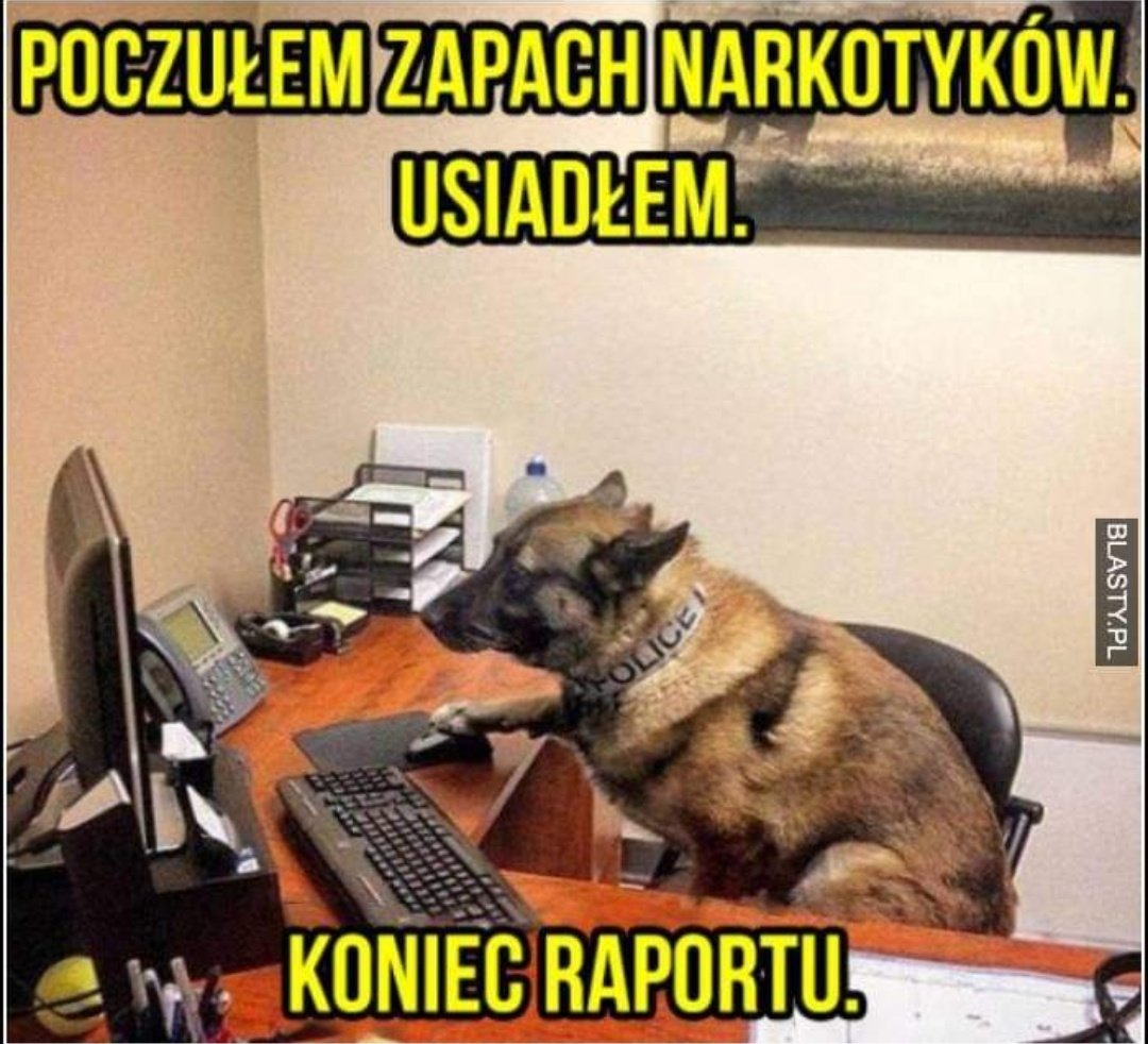 174aecc5-b62d-4157-a8f3-37c453c6217b