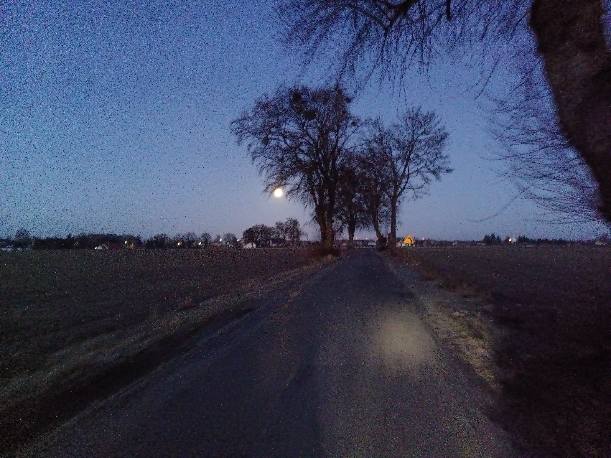 08d94816-194c-4806-833d-4b1b07960ac0