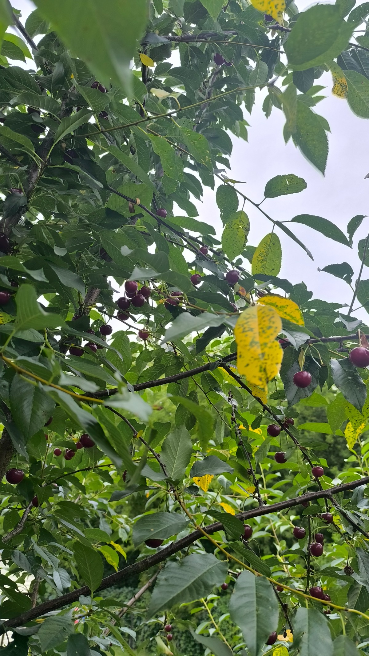 92918b02-dc4d-4036-bdf2-fb051ce2f296