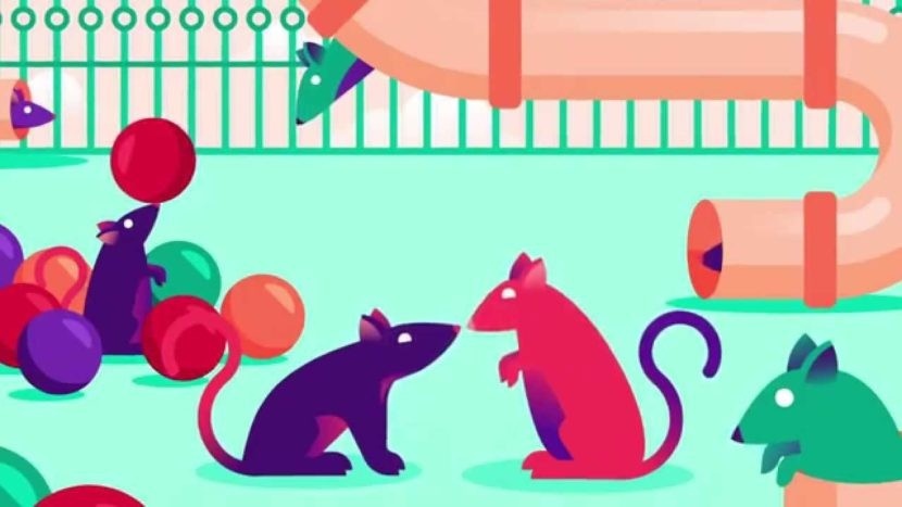 e0a2c55a-23f7-40c1-804d-43c6c383fc0b