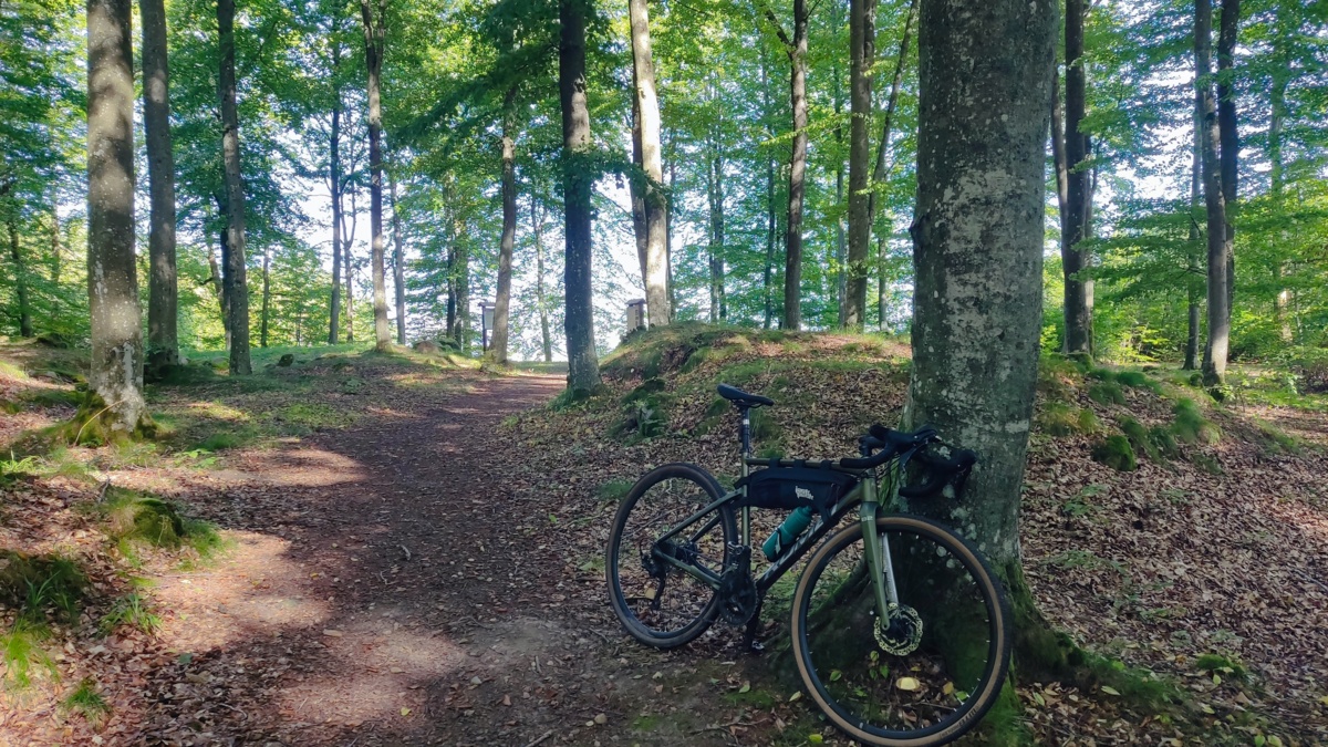 878c4d91-d674-4a0f-a6dc-6d85061cad56