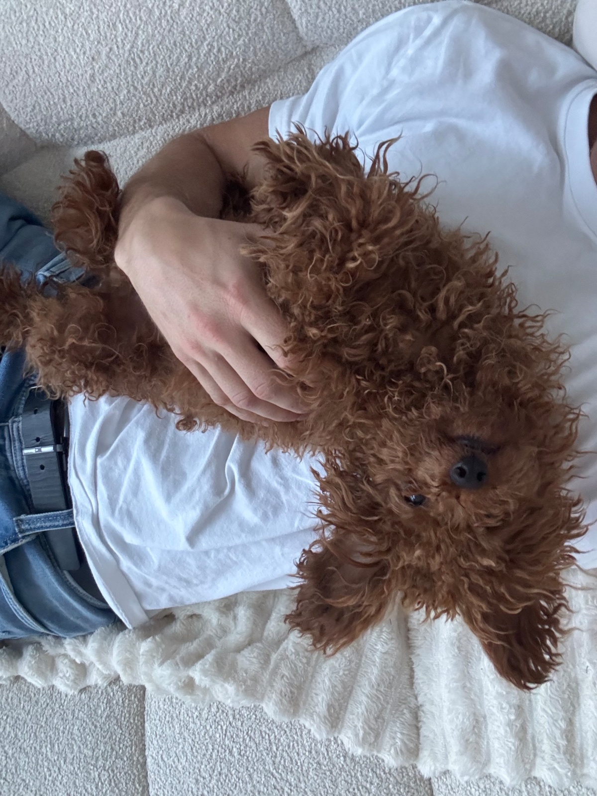 70f0810a-1fbd-4310-80e9-9f334f9218d1