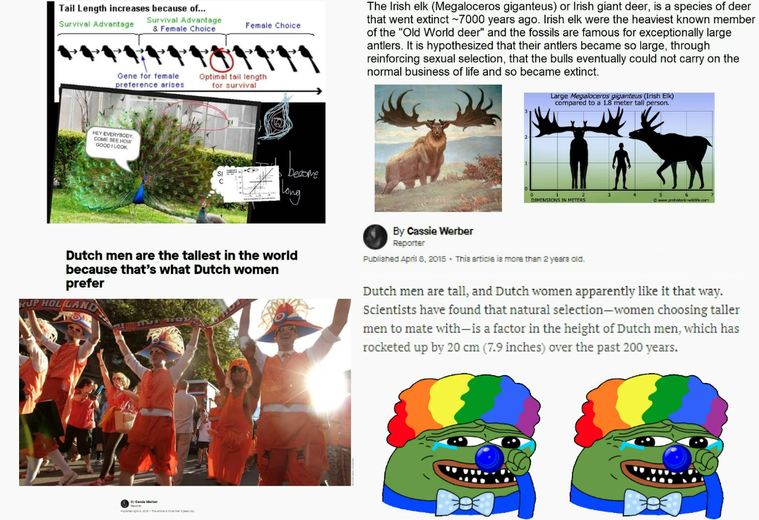 d4bf8864-14e8-466a-ac94-48ce8a9afde4