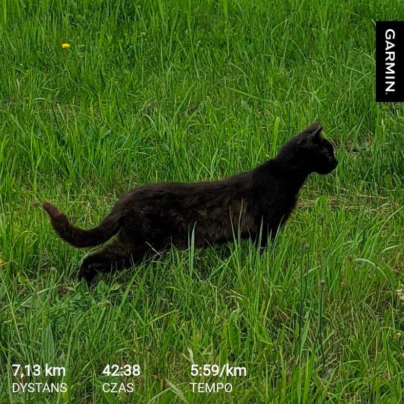 bdf93921-60c6-4364-955a-a41d625f2222