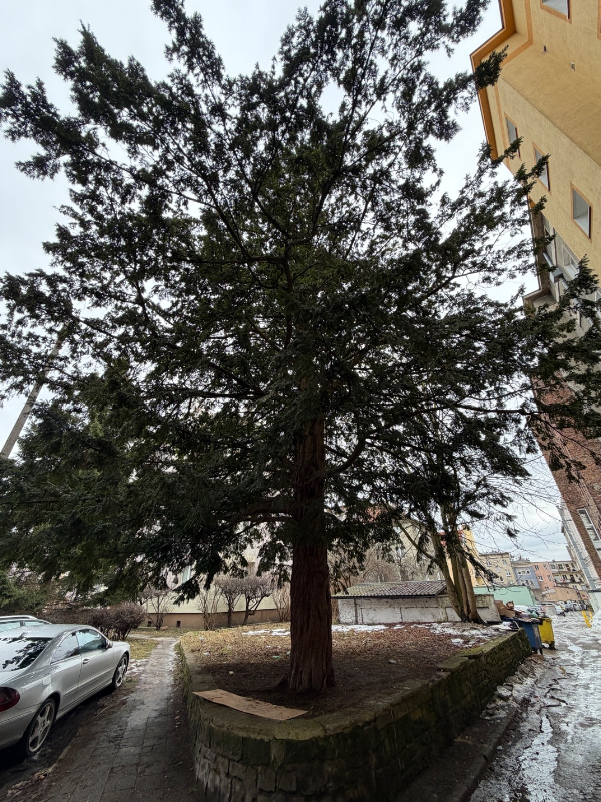 14e5618c-b708-461b-bc8e-dccb7850e3aa