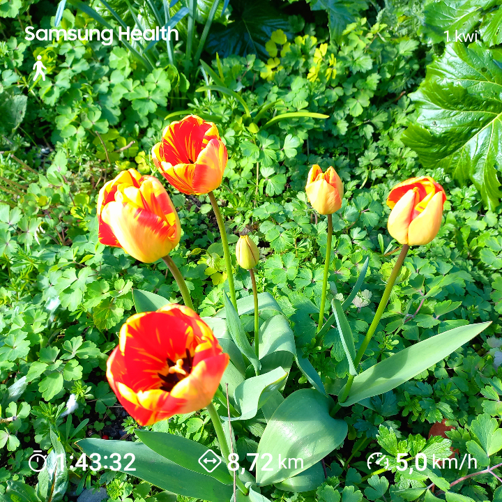 1d73ffa1-c062-4db9-b1c6-1ef6d7ba6a39