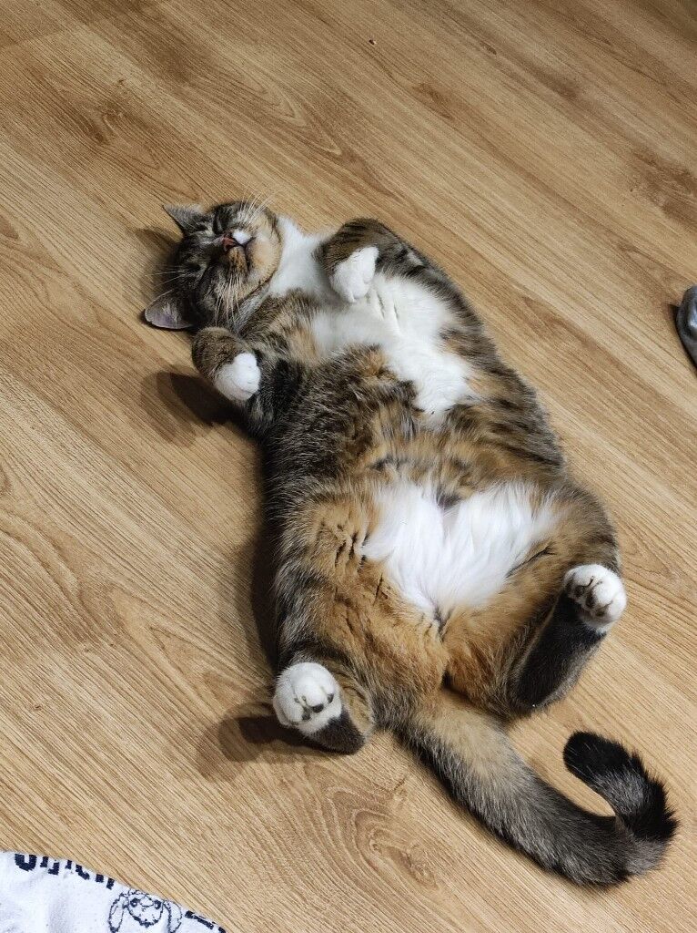 7b5b160b-cf87-4072-884c-8e6d7957ba64