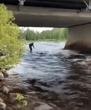 848bfb35-9fab-4b4f-9a01-b1af102a2527