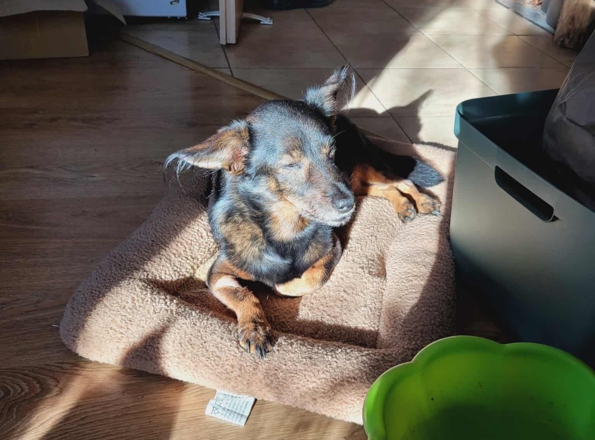 fa4e25a7-3751-41c8-b04a-0a60ceda441f