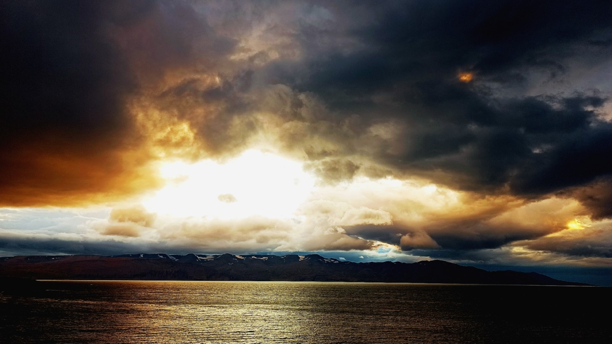 dcdd16fc-87fc-4713-a804-446af2f67585