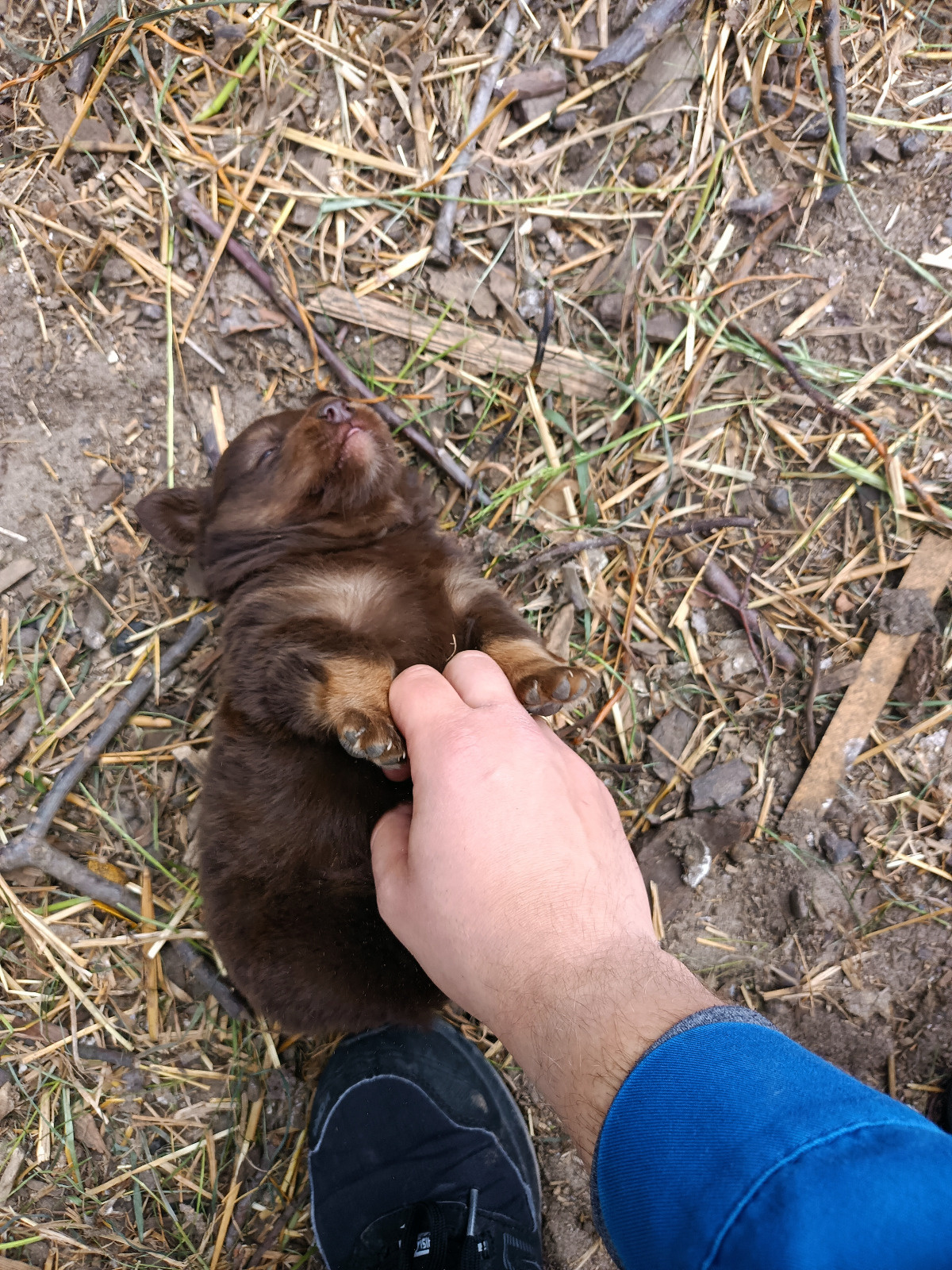 2bcf0888-f894-4b20-b2e0-7117aa2d48ab