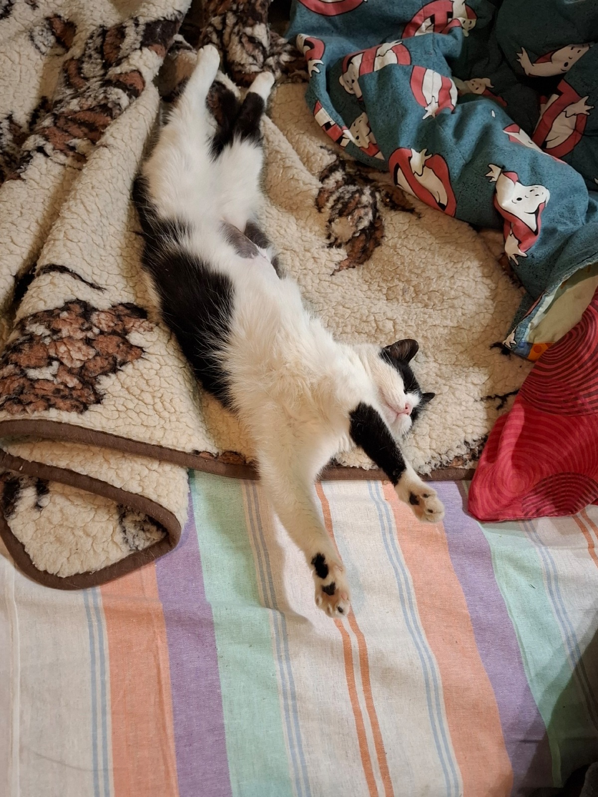 7bef67ec-1eb1-47dd-a771-e28526ba2534