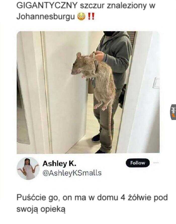 757349c4-2250-402e-ba81-0a38d3dcd07b