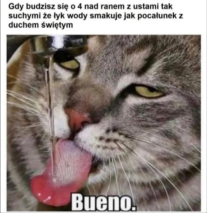 dca0c4ae-6870-4ecf-8215-bf49b117938f