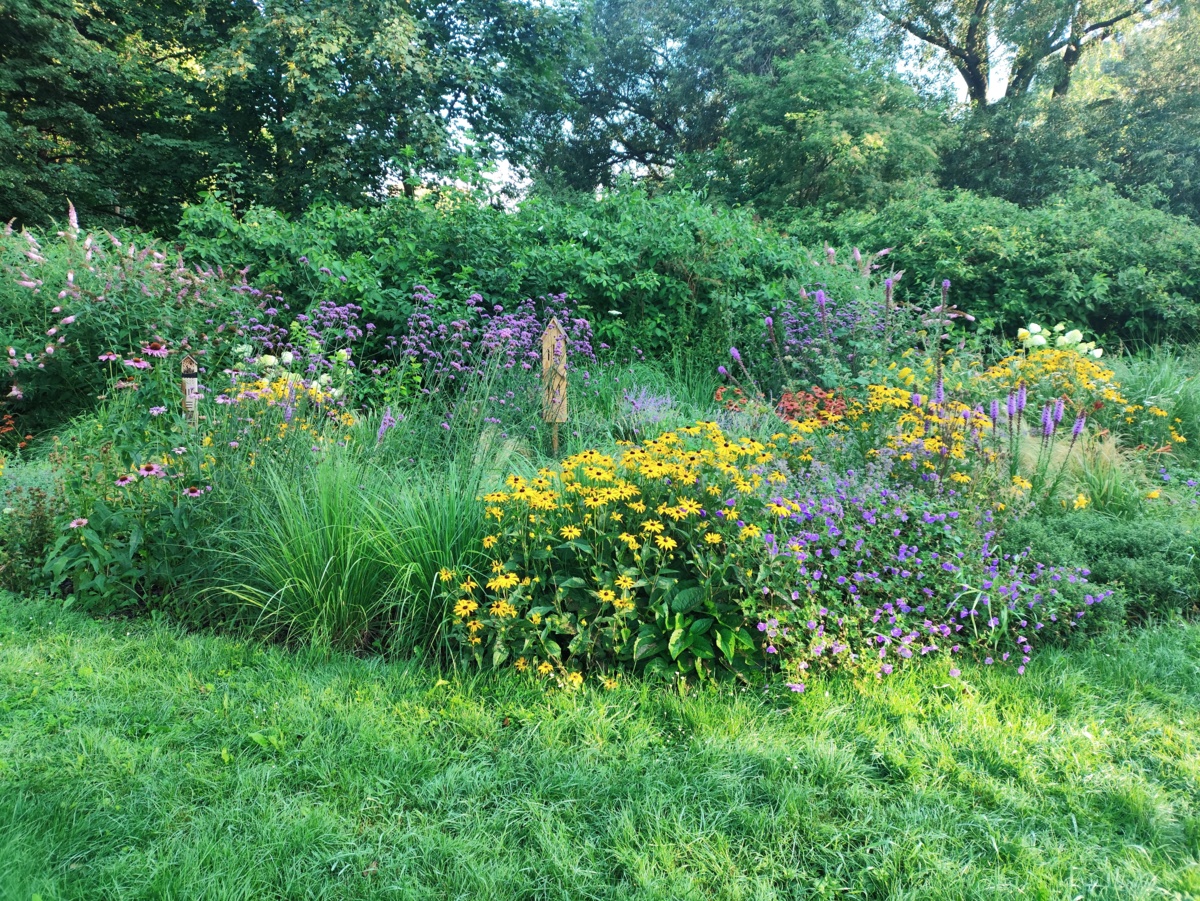 50c11ad5-5c15-4f90-a1ba-57c43094e26b