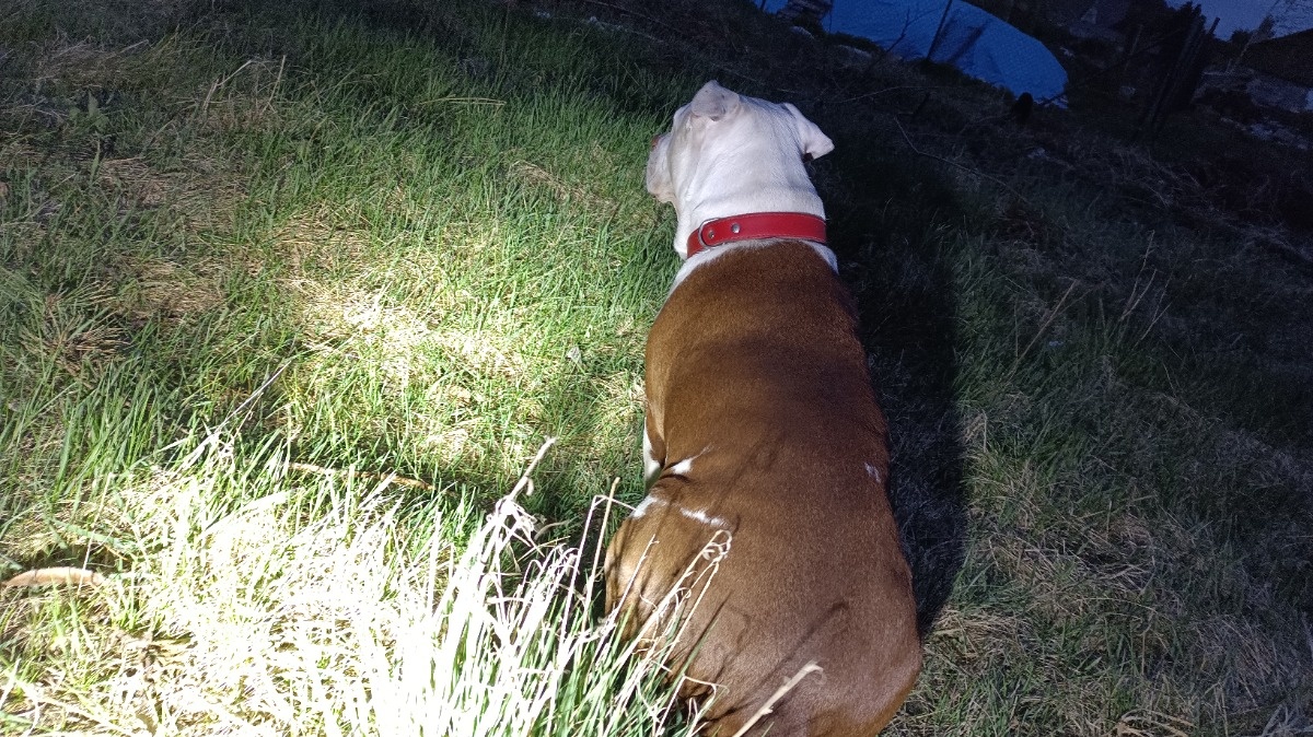 dab126de-e35d-4ba1-811c-b09c9307a25c