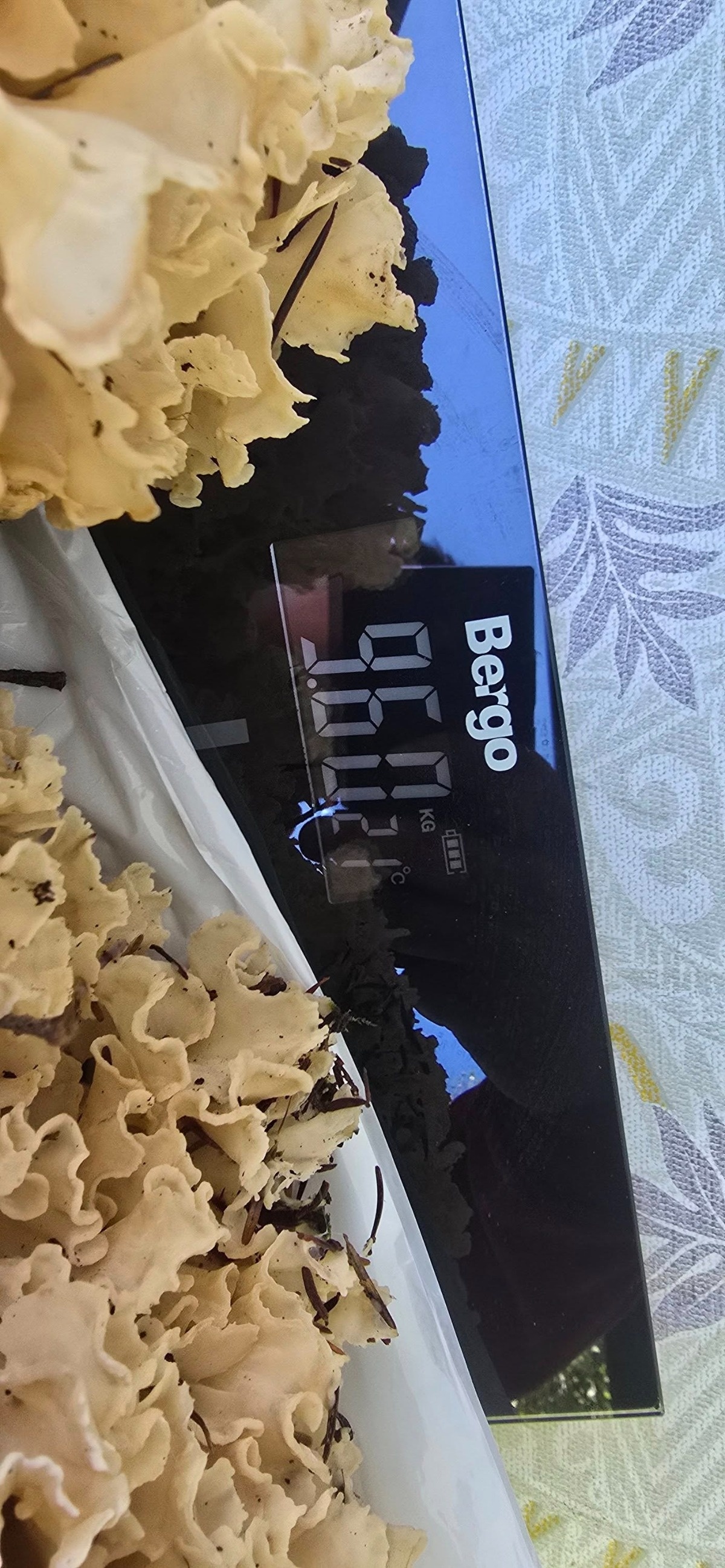 24c2b3fb-bfbd-4590-8f3e-a590f6287788