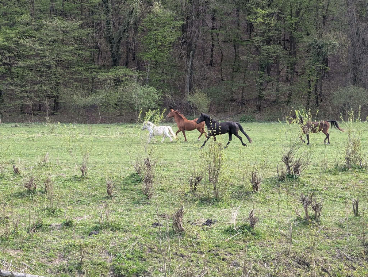 f9400db0-cfa5-40a1-839b-d0e1e4fcf918