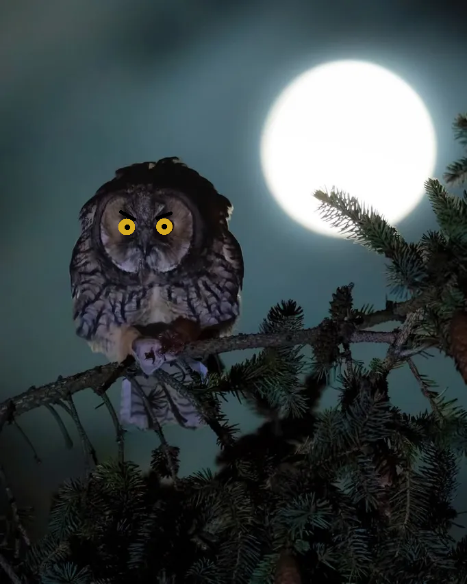 6b7f3012-3b72-41c6-99ad-768fb50430b2