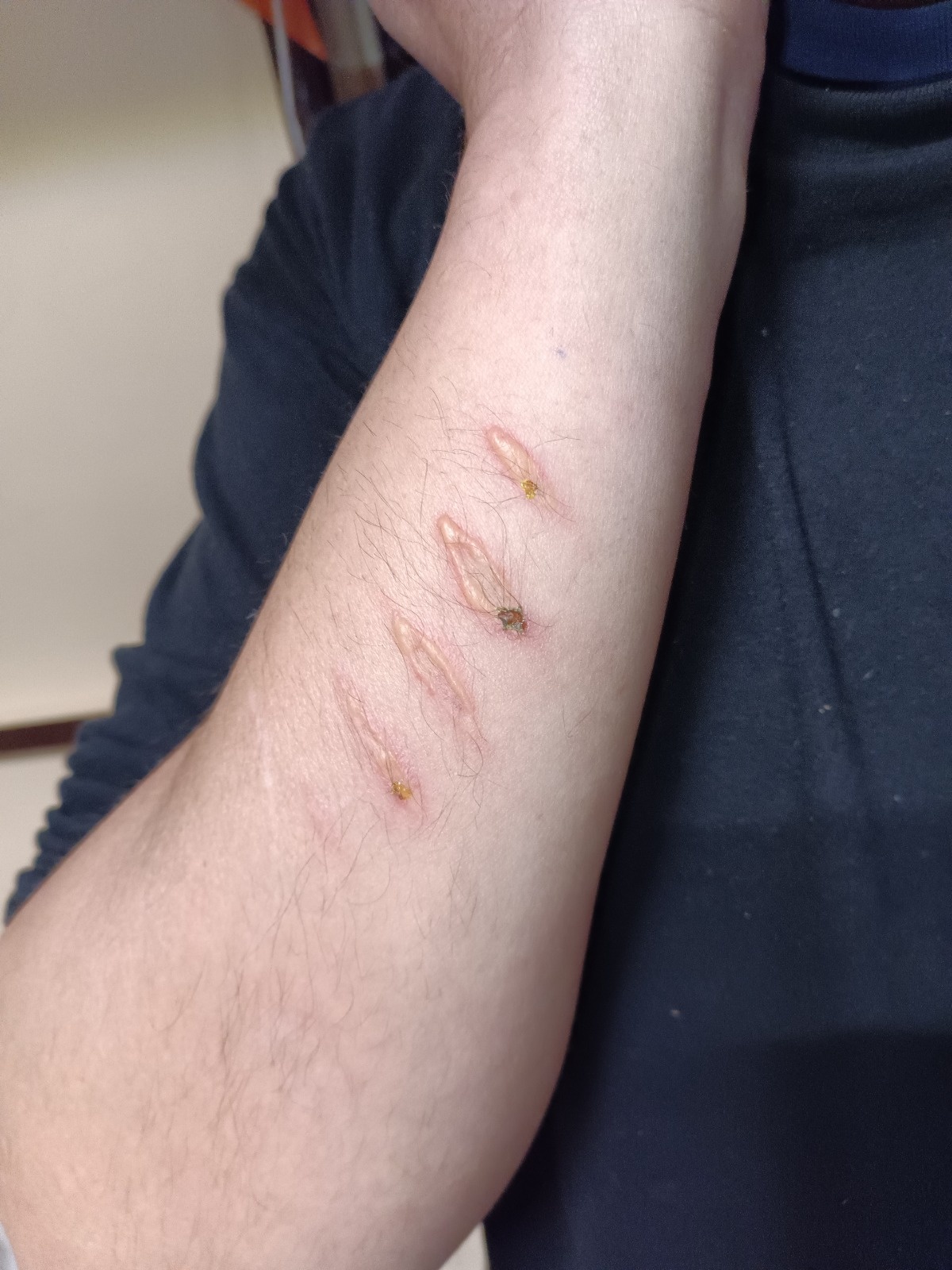 9a451693-3182-486d-a496-8201bcddb810