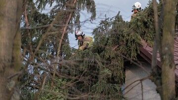 Silny wiatr w Polsce. "Przechodzi kolejny niż". Miejscami może być niebezpiecznie