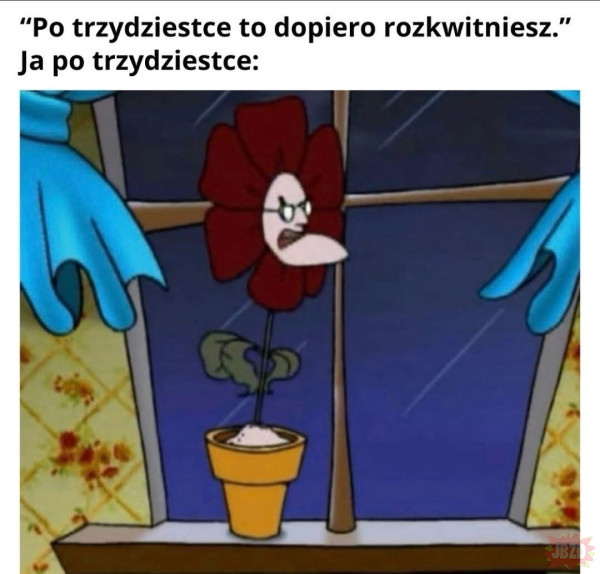 3d9428b1-48d1-4c91-9902-5f60aa8da625