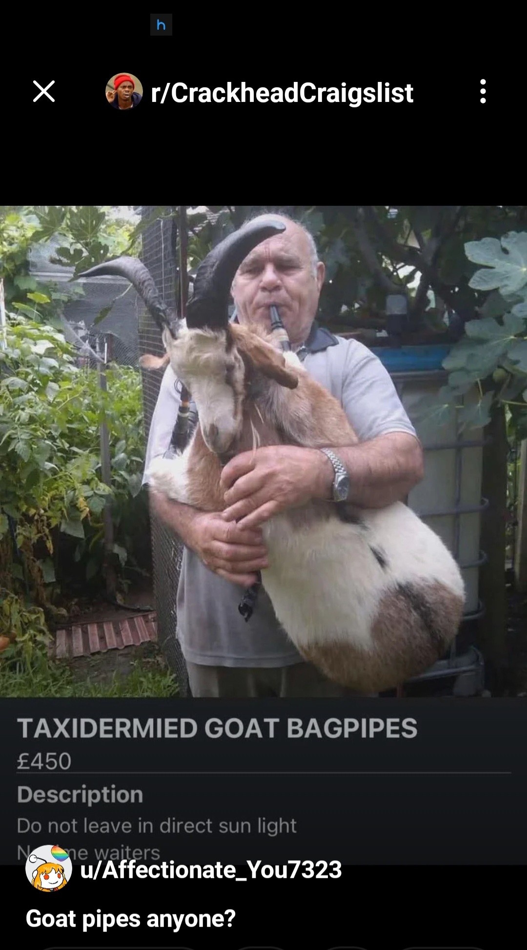 d3731405-10e7-42d5-bb59-7e7749c142ce