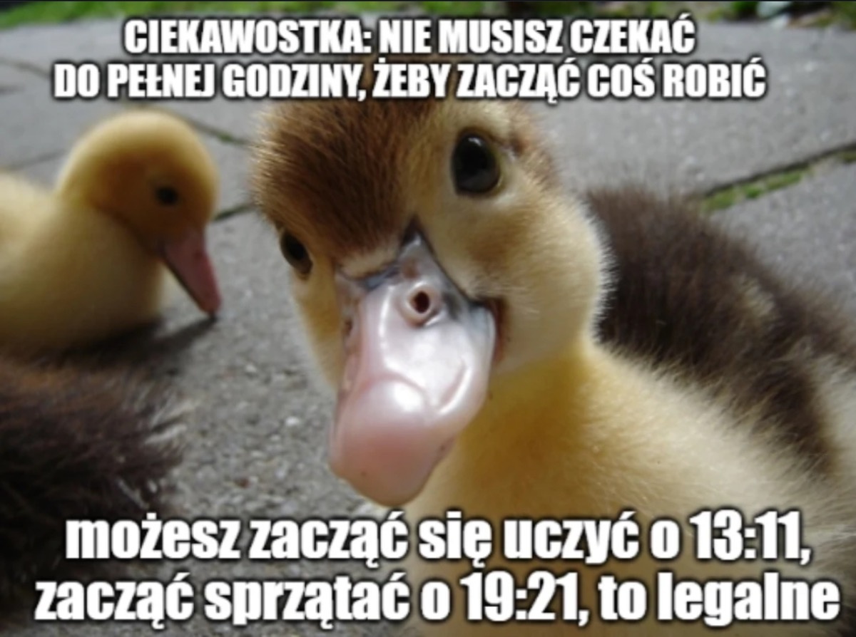 0842c215-6850-4b2a-90a0-ee7d9b9bef0f