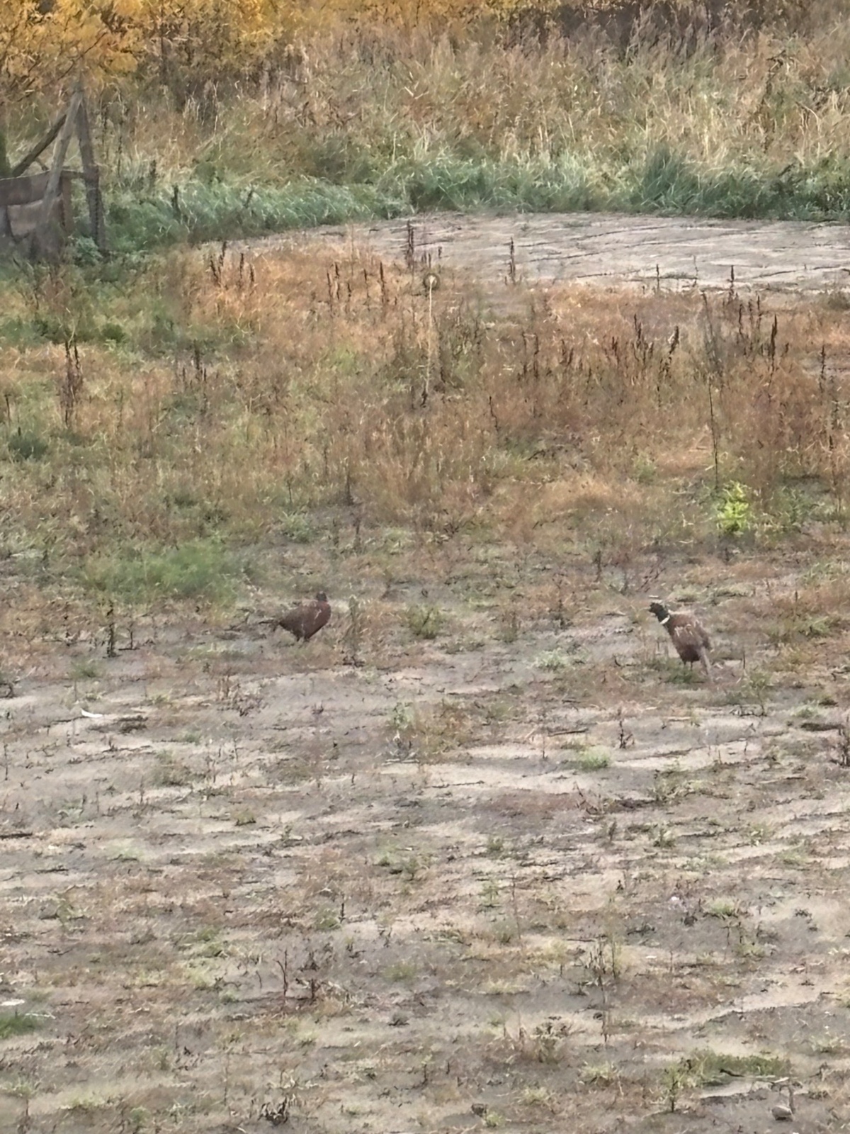 e789594d-6fd9-4c86-b21a-e59248d69a2f