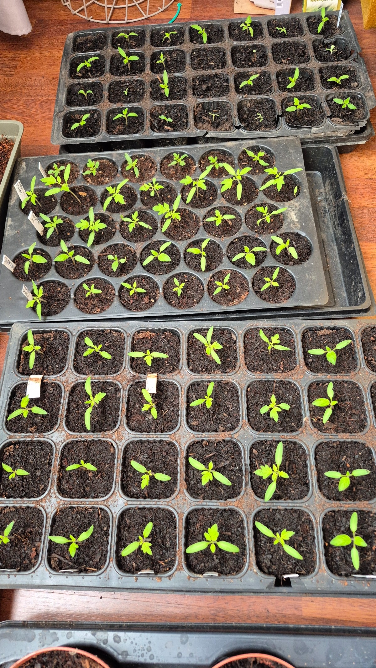 2821a5d6-7212-4d5d-8d8f-0b001f265376