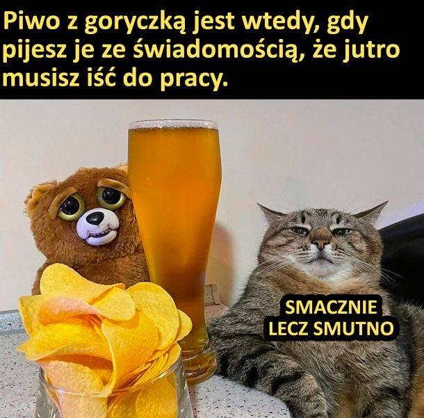 791288fc-ad75-477e-996c-bcb86de7b28a