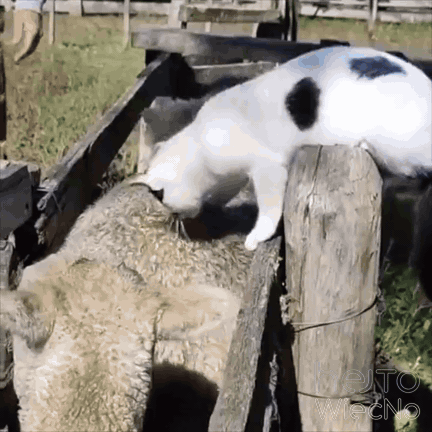 d3f4b155-87c5-407e-8264-854aba5e2dec