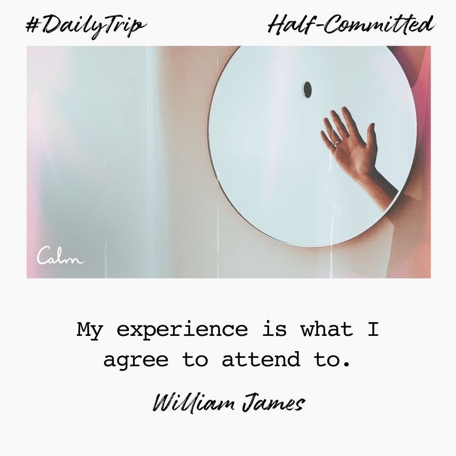 0d879b1d-d4df-4bac-a754-430adf97b9ec