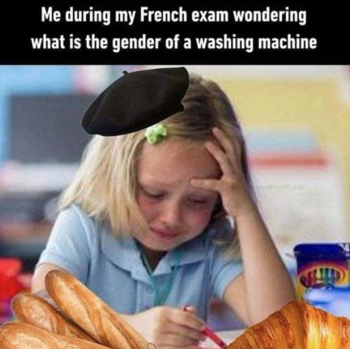 0795477a-f55c-43a6-b9a9-1d65ad996507