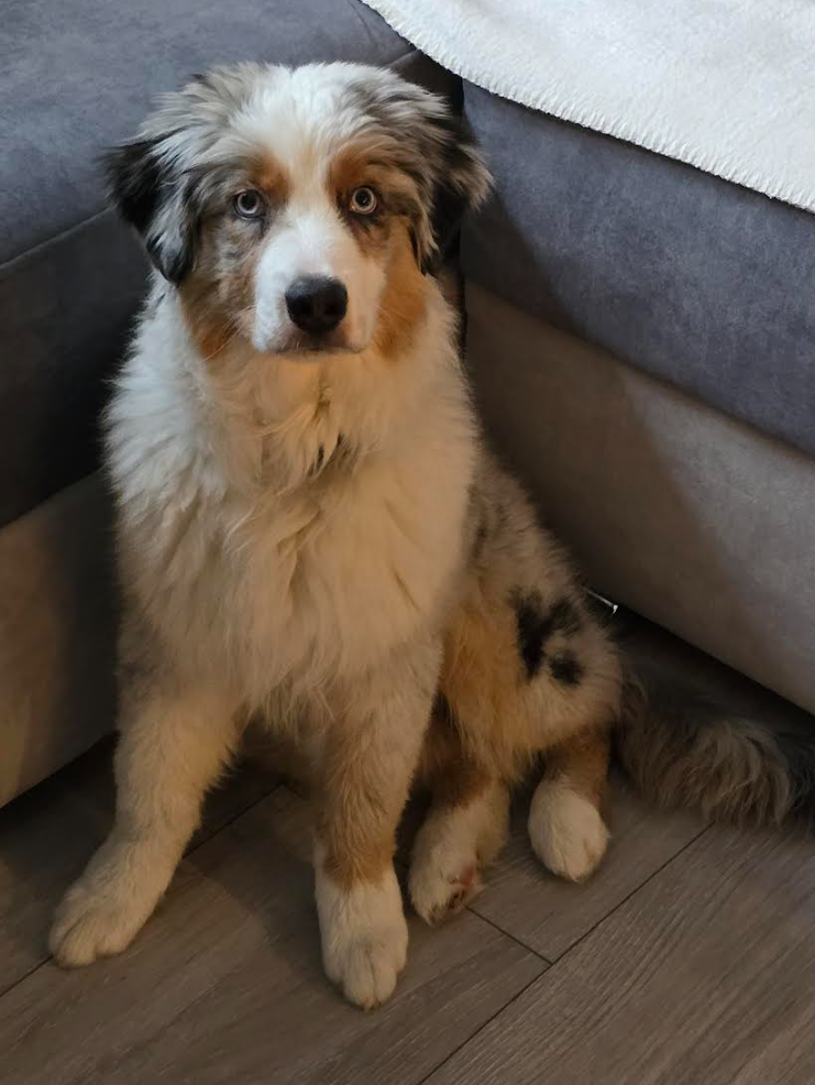 639aec14-0c01-4724-afb1-8e8239b9d7fe